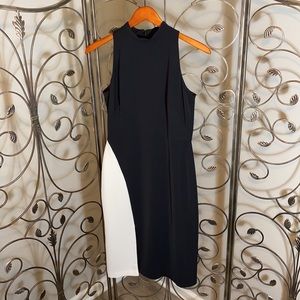 WHBM fitted evening/cocktail dress